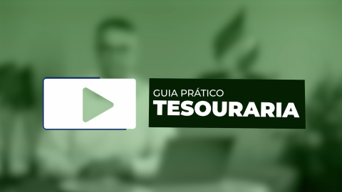 Guia Prático Tesouraria (PDF)